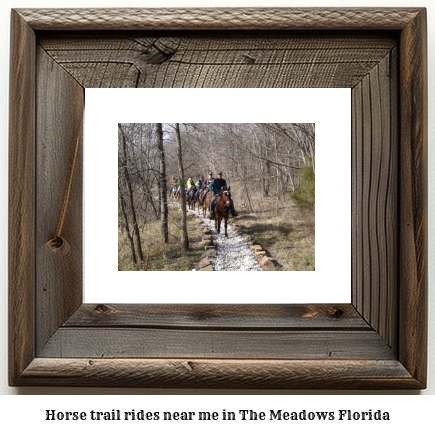 horse trail rides near me in The Meadows, Florida